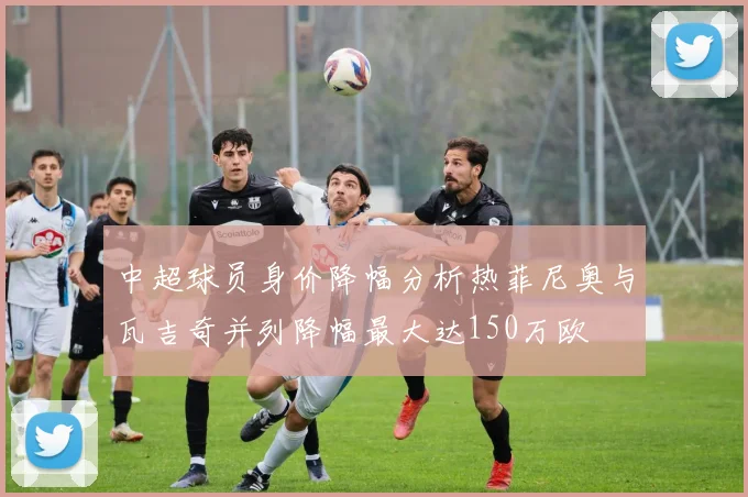 中超球员身价降幅分析热菲尼奥与瓦吉奇并列降幅最大达150万欧