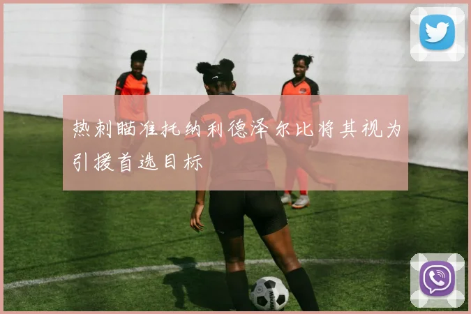 热刺瞄准托纳利德泽尔比将其视为引援首选目标
